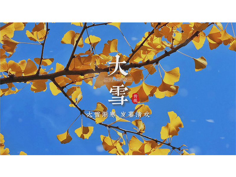 今天是2023年12月7日，二十四节气中的大雪，愿大家在这个冬天，有衣暖身，有人暖心，所有的美好如约而至。
